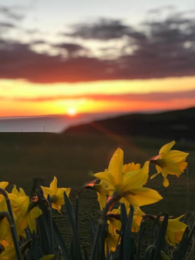 Bunnahabhain 5 - Farm Stay - Stunning Sea And Rural Views Stranraer Dış mekan fotoğraf