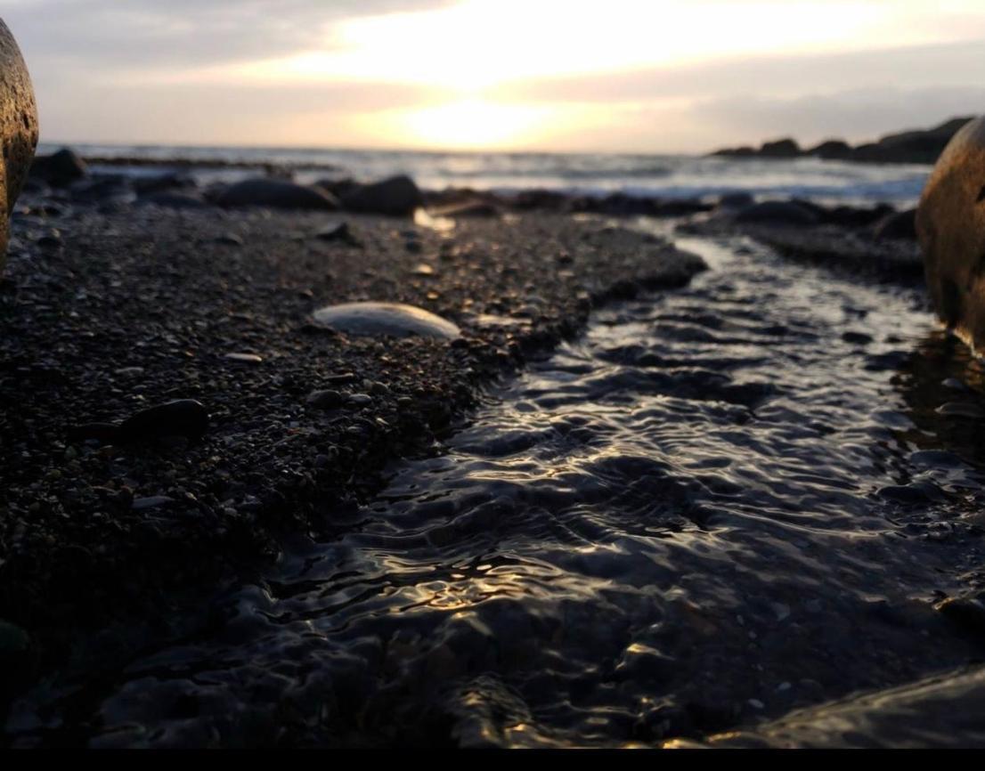 Bunnahabhain 5 - Farm Stay - Stunning Sea And Rural Views Stranraer Dış mekan fotoğraf